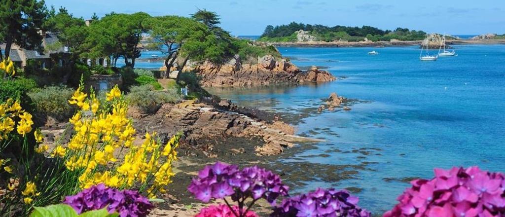 Manoir De Kertalg Hotel Moelan-sur-Mer Ngoại thất bức ảnh